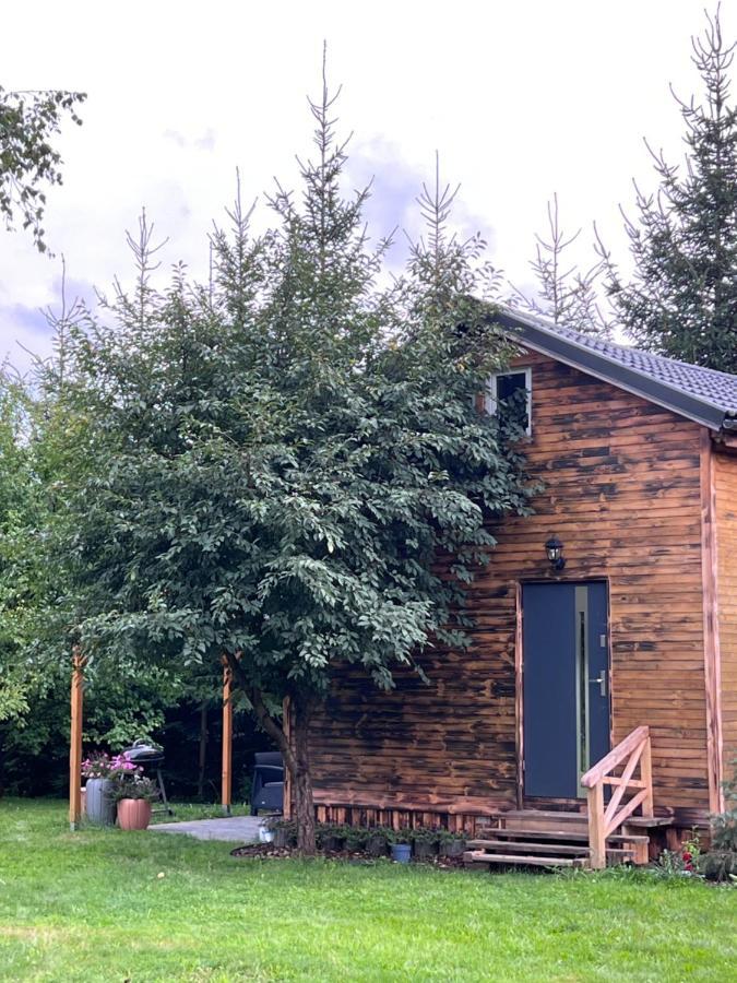 Jezowka I Sudetka Villa Jezow Sudecki Екстериор снимка